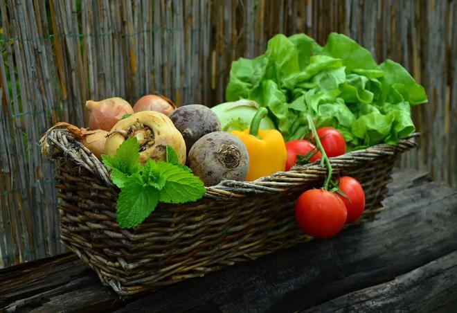 这5种野菜千万别开云kaiyun吃转告家里的老人别再当成“宝”了！(图5)