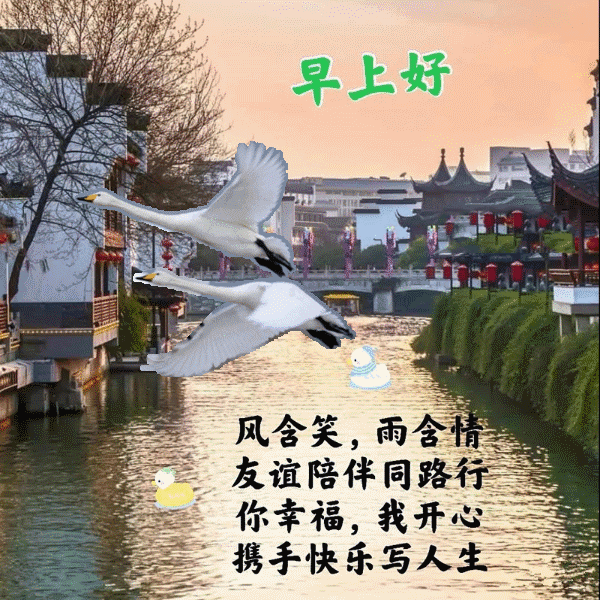 2024年3月26日星期二早安问候祝福动态表情图片大全周二最新早安问候语动态图片表情！(图14)