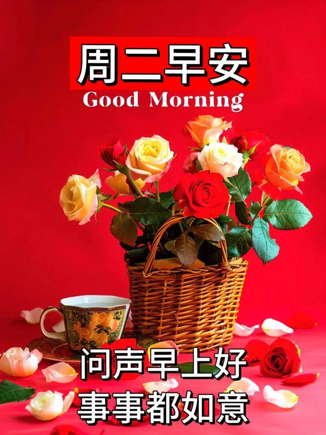 2024年3月26日星期二早安问候祝福动态表情图片大全周二最新早安问候语动态图片表情！(图16)