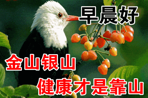 2024年3月26日星期二早安问候祝福动态表情图片大全周二最新早安问候语动态图片表情！(图1)