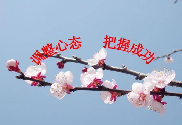 高尿酸的“祸根”不光是酒提醒：3种家常菜应少吃警惕肾衰竭(图12)