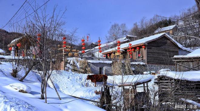 安徽籍列车员说山东人穷不乐意了广东交警骂河南人脏话河南不(图5)