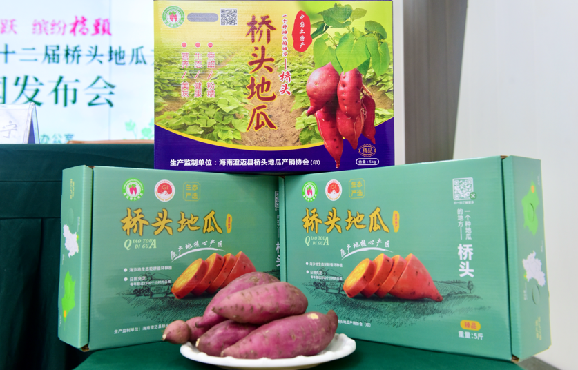 澄迈县第十二届桥头地瓜文化节将于4月27日举办(图1)