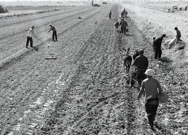 山西省1962年(图7)