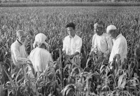 山西省1962年(图5)
