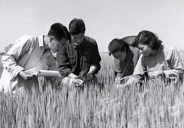山西省1962年(图9)