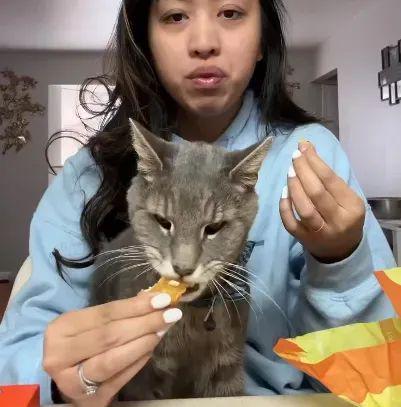 妹纸给猫喂吃牛奶+汉堡网友纷纷指责但看完后说：我真该死！(图1)