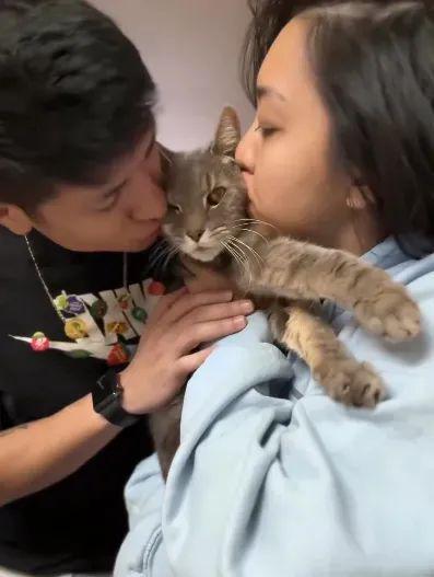 妹纸给猫喂吃牛奶+汉堡网友纷纷指责但看完后说：我真该死！(图4)