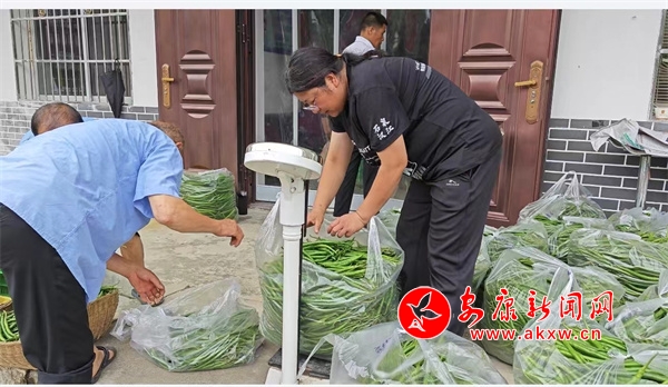 打造辣椒预制菜基地带动村民共致富-安康新闻网(图2)
