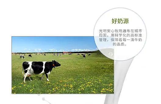光明纯牛奶质量怎么样？选对奶源味蕾尊享！(图2)