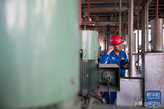 新时代中国调研行之看区域·东北篇｜东北石化产业“减油增化”再造产业新动能(图5)
