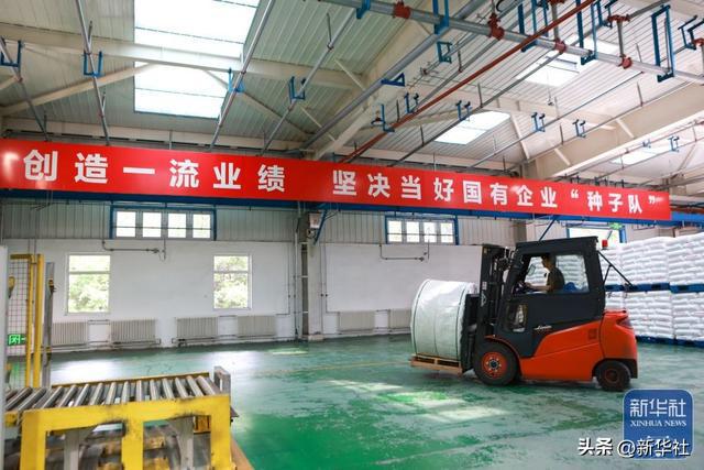 新时代中国调研行之看区域·东北篇｜东北石化产业“减油增化”再造产业新动能(图7)