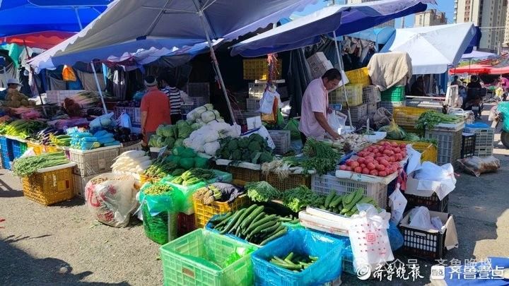 蔬菜最新价格：15种菜12种涨！何时变回“家常菜”(图1)