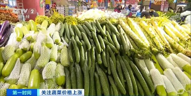 家常菜价格“不家常”？黄瓜批发价涨超40%！还会再涨吗(图2)