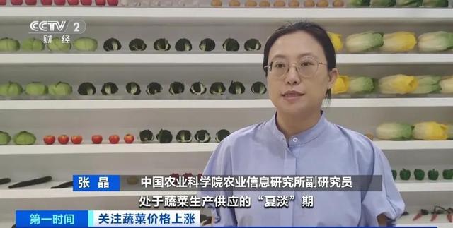 家常菜价格“不家常”？黄瓜批发价涨超40%！还会再涨吗(图6)