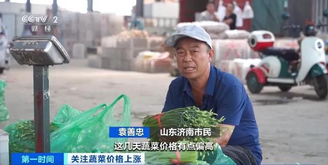 家常菜价格“不家常”？黄瓜批发价涨超40%！还会再涨吗(图4)