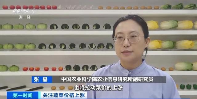 家常菜价格“不家常”？黄瓜批发价涨超40%！还会再涨吗(图9)