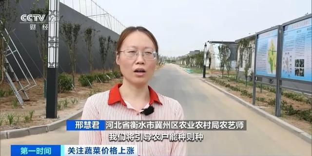 家常菜价格“不家常”？黄瓜批发价涨超40%！还会再涨吗(图15)