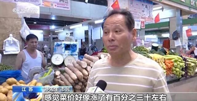 家常菜价格“不家常”是什么引起了蔬菜价格上涨？(图1)