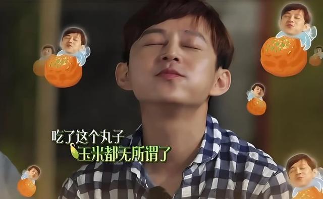 《向往》黄磊做饭被指难吃！何炅演技太好无辜受牵连陈赫力挺好友(图8)