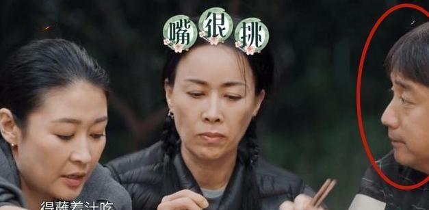《向往》黄磊做饭被指难吃！何炅演技太好无辜受牵连陈赫力挺好友(图7)