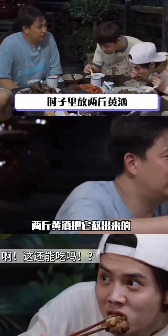 《向往》黄磊做饭被指难吃！何炅演技太好无辜受牵连陈赫力挺好友(图5)