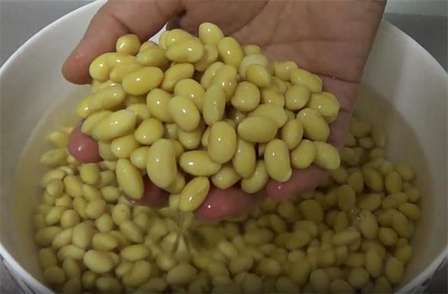 非常好吃的黄豆小菜简单一泡一煮黄豆变的比肉香果断收藏了(图2)
