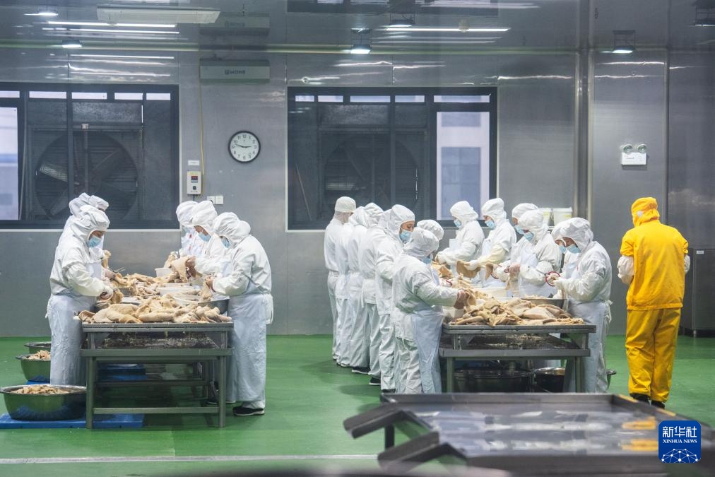 高质量发展调研行｜湖南宁乡：预制菜产业加速发展(图2)