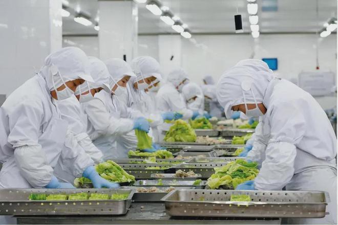 【预制菜100人】政策青睐+万亿级赛道中小企业如何布局预制菜(图2)