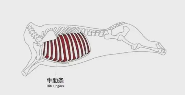 外面人均100+在家几十吃到爽！清水煮煮都弹嫩biu汁～(图7)
