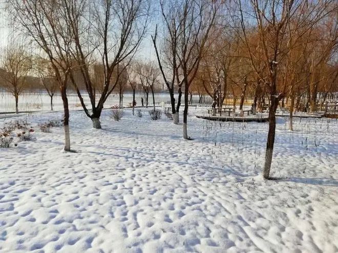 大雪节气到有钱没钱别忘“吃2肉食2根忌2味”强体抗寒暖身平安过冬(图1)