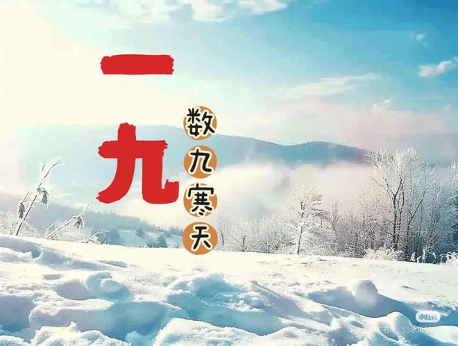 12月21日“进九”记得“吃4样做1事”驱寒暖身体健康过寒冬(图1)