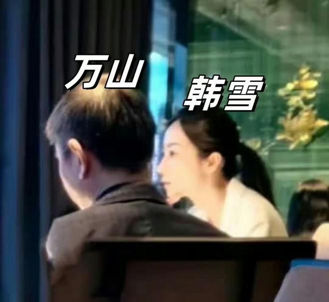 回顾41岁韩雪和60岁丈夫聚餐被拍穿衣朴素网友：真正的豪门(图6)