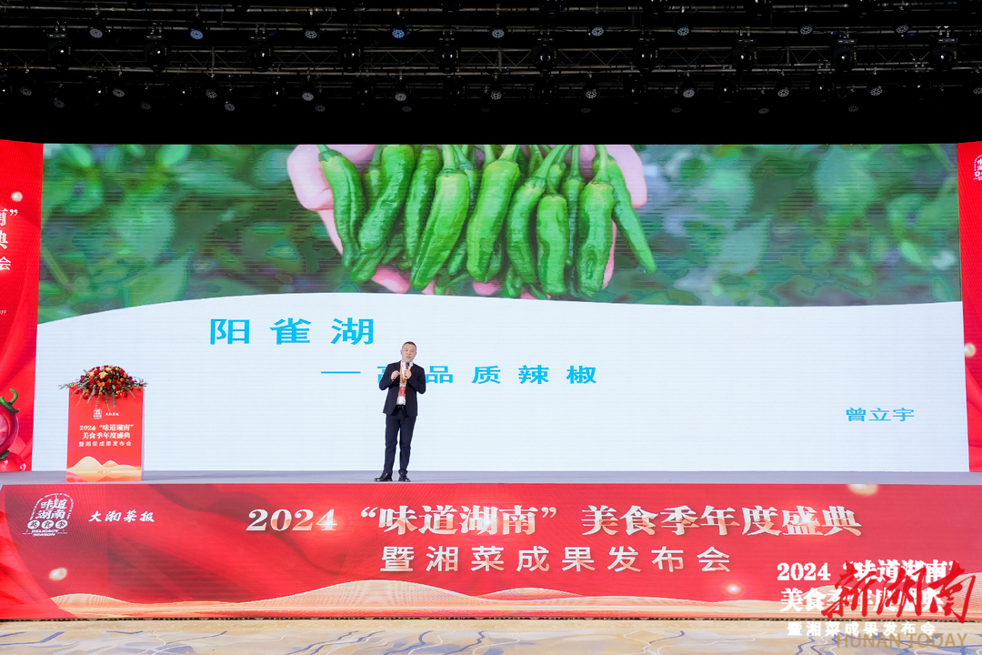 2024“味道湖南”美食季收官健康湘菜的未来已来(图15)