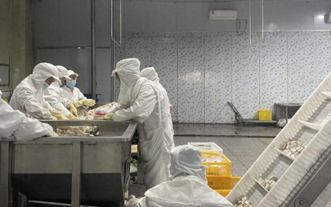 媒体：餐厅预制菜大方标注又何妨透明化赢得信任_中华网(图1)