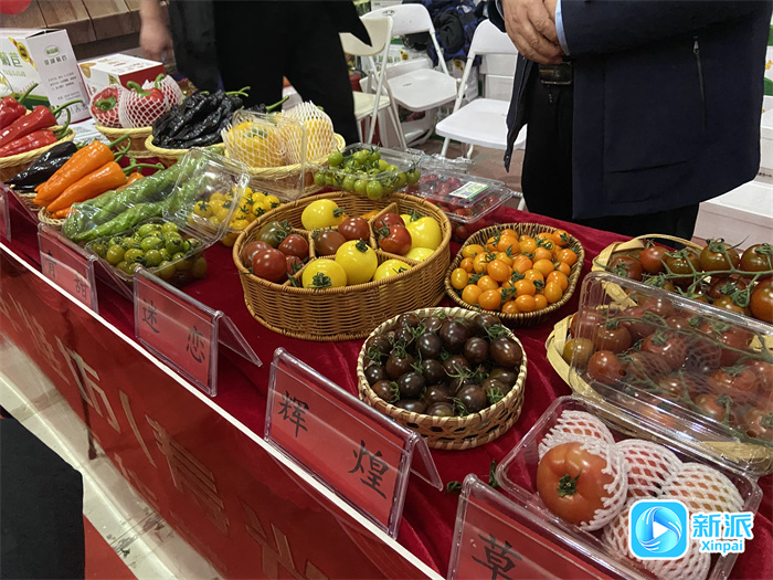 “一站式”购年货把“年味”带回家——2025年潍坊市特色农产品（预制食品）展销推介活动侧记(图8)