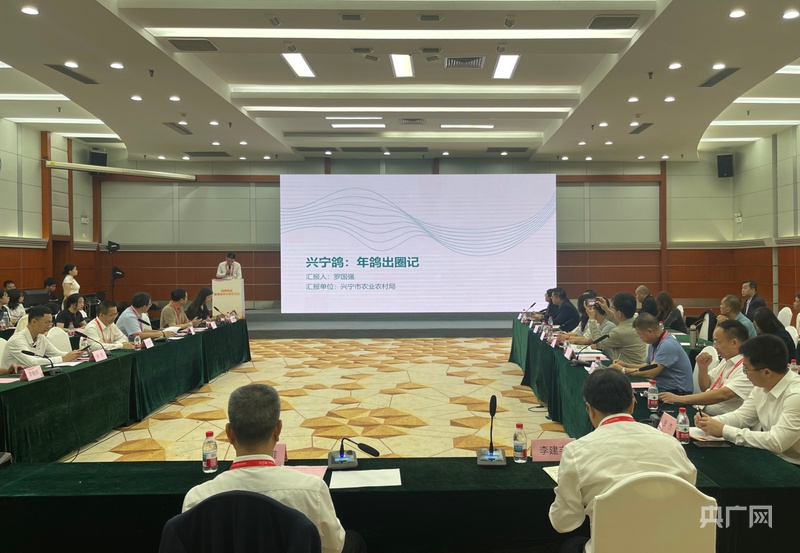 政策+龙头+科技+品牌以“兴宁鸽”产业赋能县域经济(图1)