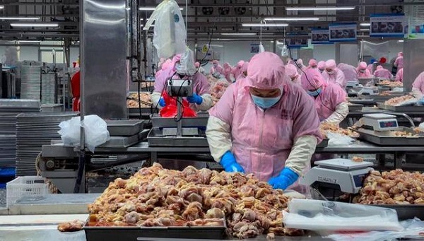 爆款单品发力预制菜赛道从单品到组团济宁后发优势未来可期(图2)