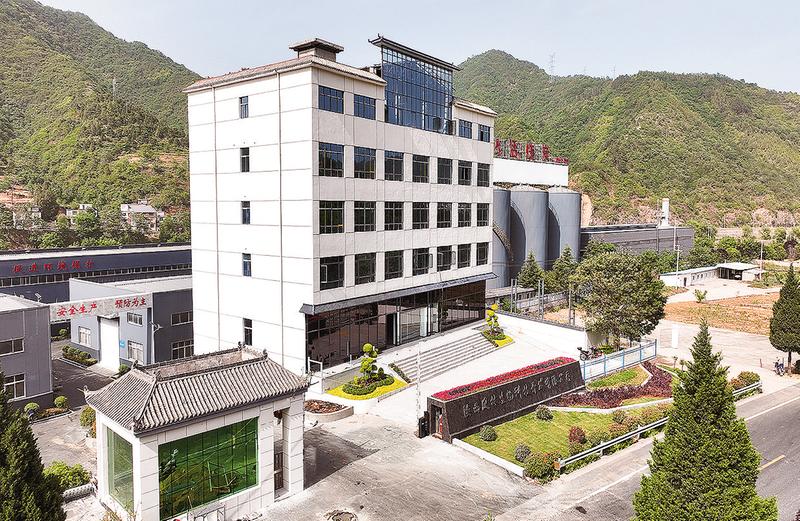 2025年上半年全市重点项目观摩：丹凤这些项目接受“检阅”(图1)