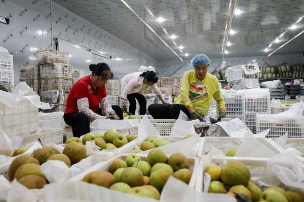 【理响中国·一线探新】逐“绿”而行向“新”发力(图4)