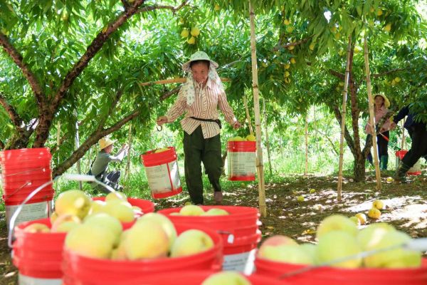 【理响中国·一线探新】逐“绿”而行向“新”发力(图3)