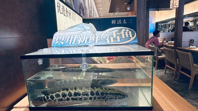 爆改太二酸菜鱼从涨价开始(图1)