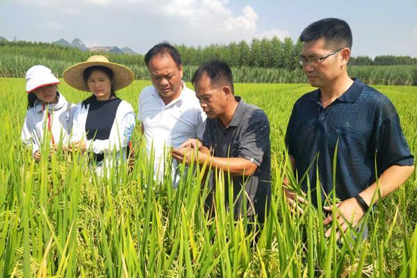 躬耕沃野守初心笃行实干促振兴(图2)