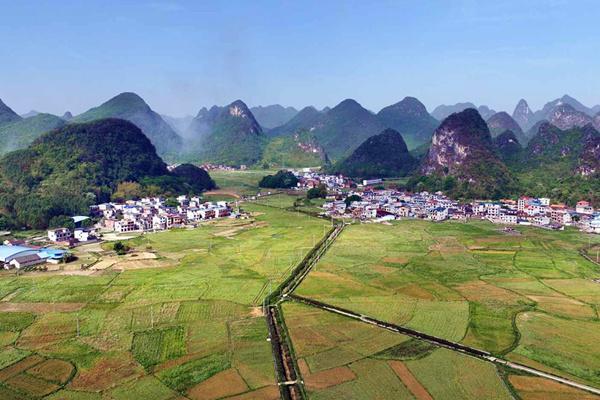 躬耕沃野守初心笃行实干促振兴(图3)