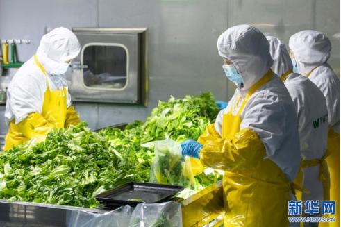 预制菜争议背后的物流变革(图3)
