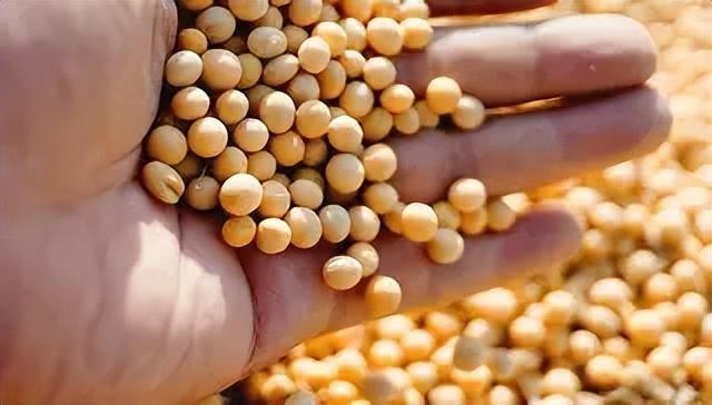 中美谈判前特朗普突然通知中国带3样东西来谈否则后果自负(图13)