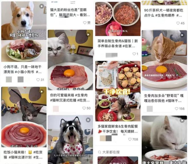 还在吃预制菜的人让宠物吃上了鲜食Flywheel飞未(图6)