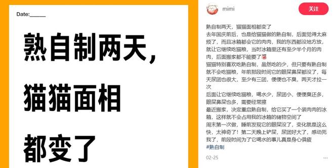 还在吃预制菜的人让宠物吃上了鲜食Flywheel飞未(图8)