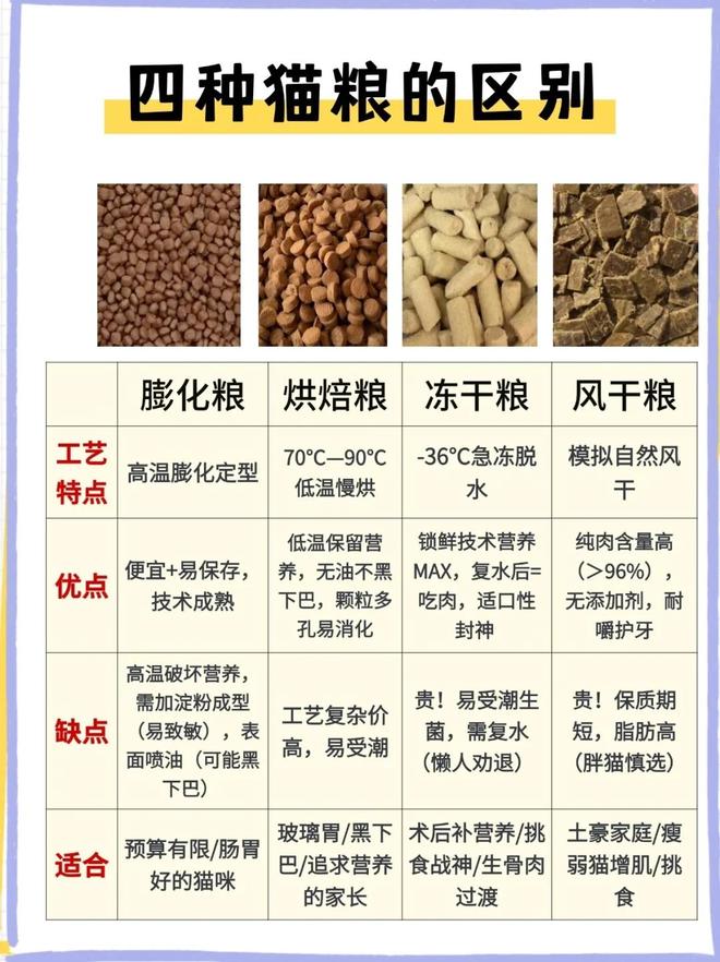 还在吃预制菜的人让宠物吃上了鲜食Flywheel飞未(图11)