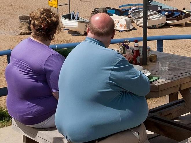 4700亿预制菜帝国背后：美国人正被“工业猪饲料”陷入绝望循环(图2)